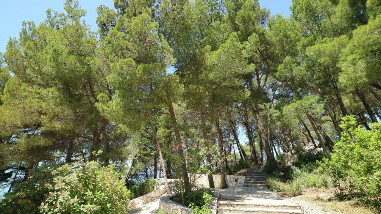 Apartment Ena - Lavica Ποντστράνα Εξωτερικό φωτογραφία